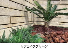リフェイクグリーン