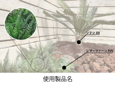 リフェイクグリーン