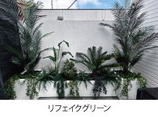 リフェイクグリーン