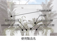 リフェイクグリーン