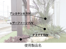 リフェイクグリーン