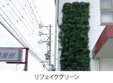 リフェイクグリーン