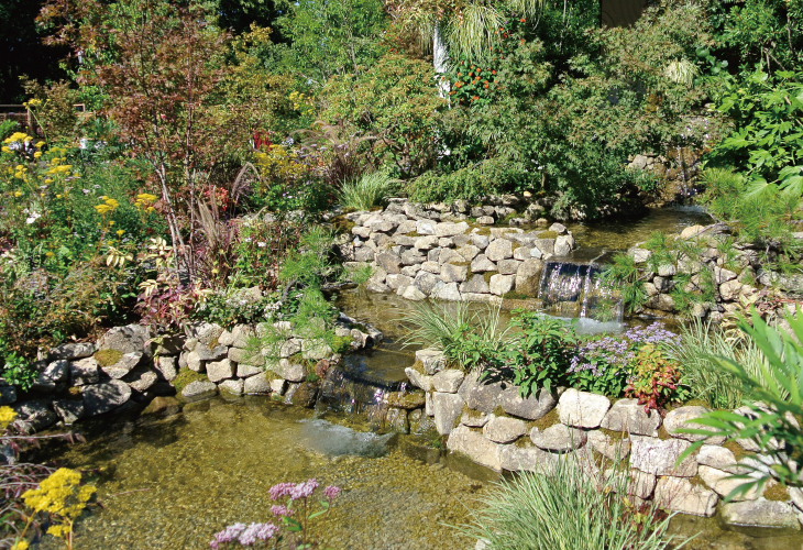 case_ponds_101.jpg