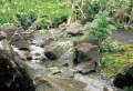 ポンドシート　小川　流れ