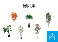 樹木屋内用