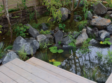 家族の集まる水辺 池,都市緑化フェア,あいち