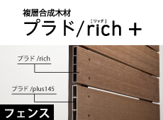 リッチプラス