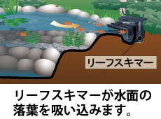 お庭の池 スキマー 水質改善