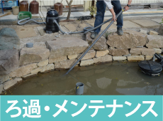 ろ過・メンテナンスのページへ お庭の池 メンテナンス ろ過 浄化