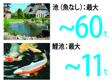 クリックすると拡大画像を表示します。 リリーポンドキット