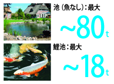 リリーポンドキット
