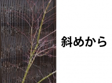 topic04_72.jpg